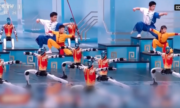 Robot Humanoid China Naik Level