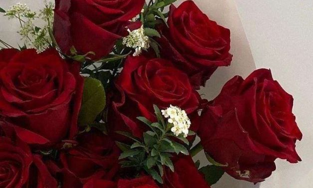 Filosofi Bunga Mawar Dalam Berbagai Budaya