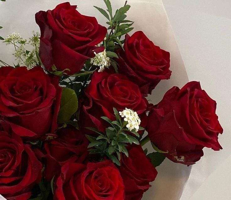 Filosofi Bunga Mawar Dalam Berbagai Budaya