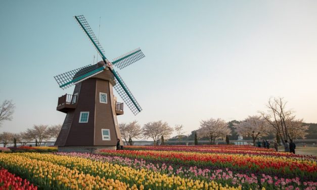 Fakta Menarik Tentang Belanda Yang Jarang Diketahui