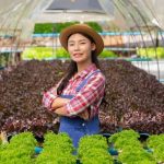 Budidaya Buah Modern: Peluang Bisnis Pertanian Menjanjikan