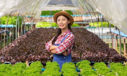 Budidaya Buah Modern: Peluang Bisnis Pertanian Menjanjikan