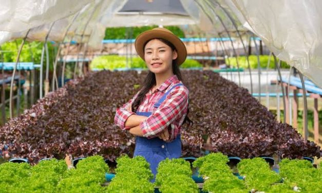 Budidaya Buah Modern: Peluang Bisnis Pertanian Menjanjikan