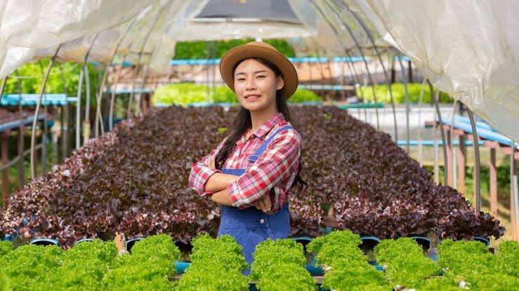 Budidaya Buah Modern: Peluang Bisnis Pertanian Menjanjikan