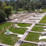 Potensi Desa Wisata Dalam Pertumbuhan Ekonomi Masyarakat