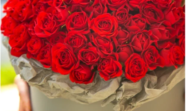 Sejarah Romantis Bunga Mawar: Dari Zaman Kuno Hingga Modern