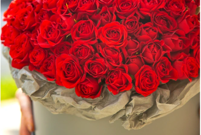 Sejarah Romantis Bunga Mawar: Dari Zaman Kuno Hingga Modern