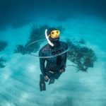 Tips Belajar Freediving Untuk Pemula Agar Aman Dan Nyaman
