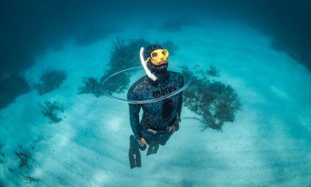 Tips Belajar Freediving Untuk Pemula Agar Aman Dan Nyaman