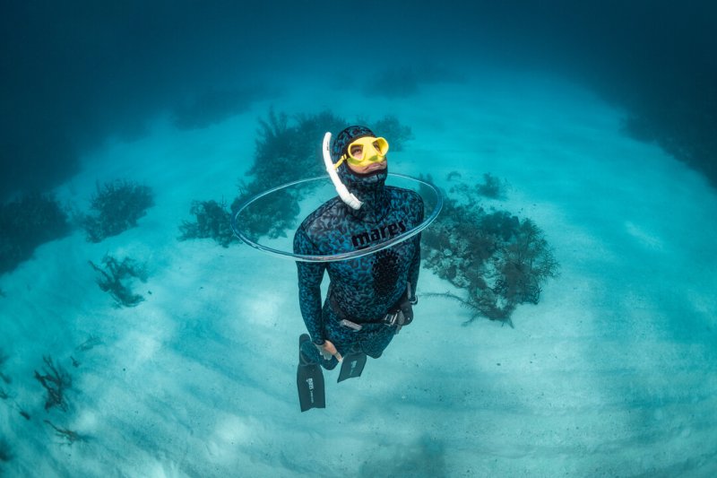 Tips Belajar Freediving Untuk Pemula Agar Aman Dan Nyaman