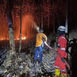 Kebakaran: Ancaman Hutan, Satwa, Dan Kehidupan Masyarakat