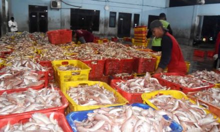 Perikanan: Potensi Produksi Pangan Dari Lingkungan Perairan