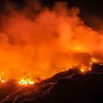 Dampak Kebakaran Hutan Indonesia Terhadap Negara Tetangga