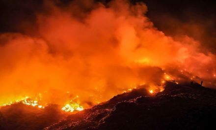 Dampak Kebakaran Hutan Indonesia Terhadap Negara Tetangga