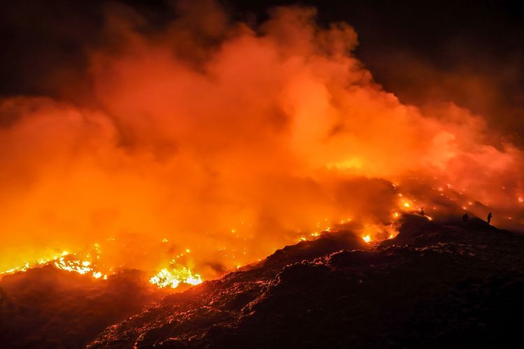 Dampak Kebakaran Hutan Indonesia Terhadap Negara Tetangga